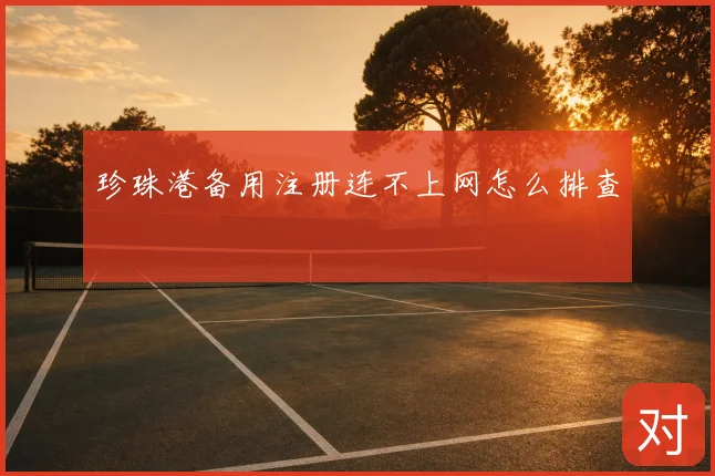 珍珠港备用注册连不上网怎么排查