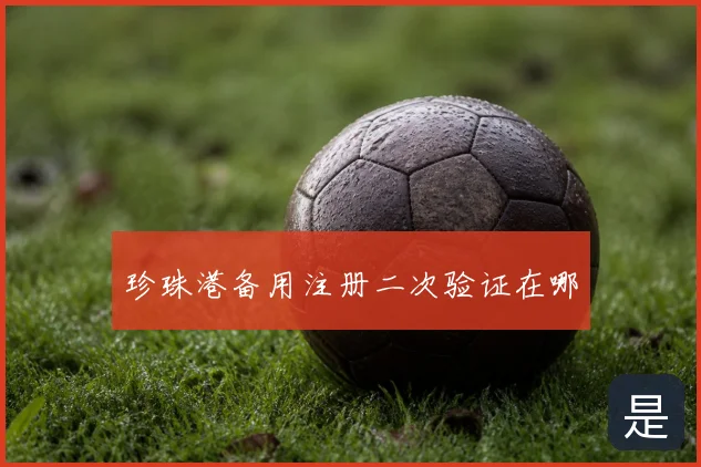 珍珠港备用注册二次验证在哪